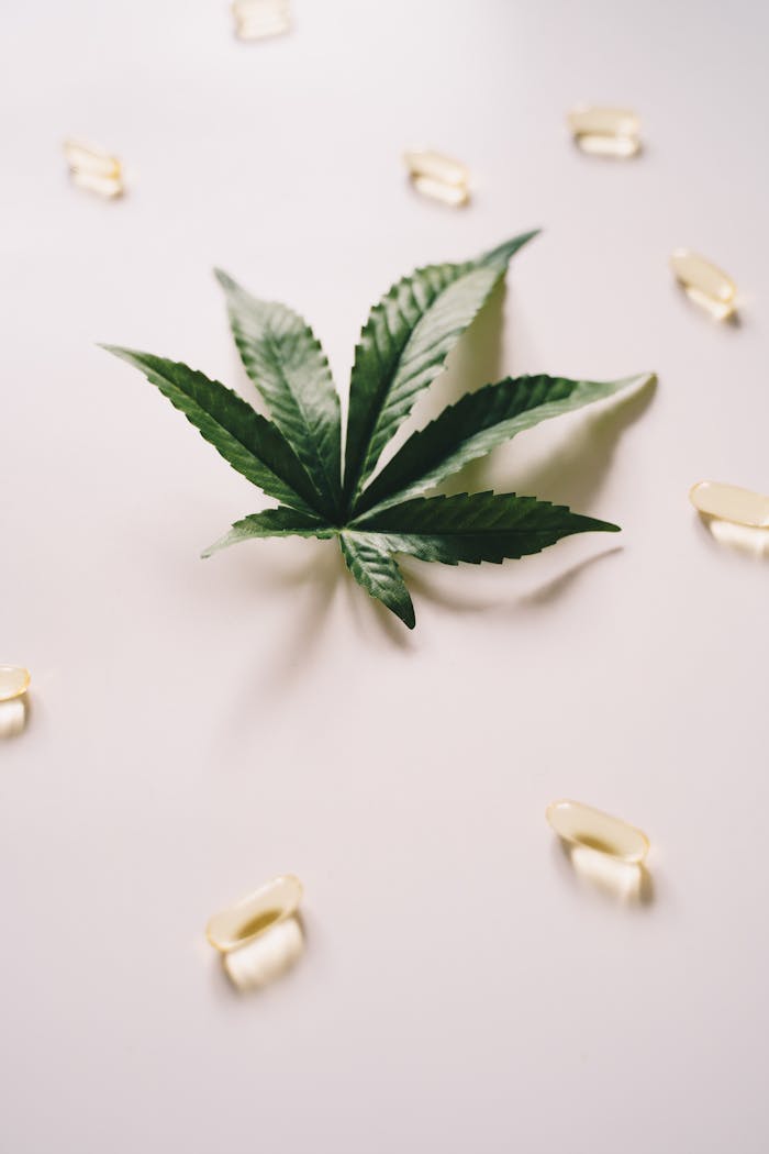 A cannabis leaf surrounded by CBD oil capsules on a white background.